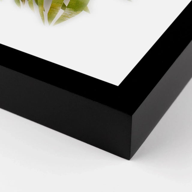 DESCRIPTION: Iris with Chartreuse Feathers by Melvin G in Black Framed Paper, Medium Art Print SPECIFICATIONS: Type:...