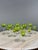 Antique Baccarat Green Crystal Glassware Set, Set of 12 For Sale - Image 9 of 11