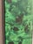 Glass Vintage Framed Aristolochia Botanical Print in Emerald Faux Burl Frame For Sale - Image 7 of 11