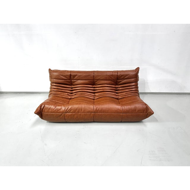 French Togo Three-Seater Sofa in Cognac Cow Leather by Michel Ducaroy for Ligne Roset For Sale - Image 10 of 15