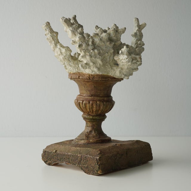 White Faux Coral Assemblage on an Antique Italian Urn Decorative Sculpture For Sale - Image 8 of 15