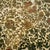 Vintage Japanese Alcohol Proof Floral Chintz Patterns Snack Trays-Group of 3 For Sale - Image 9 of 11