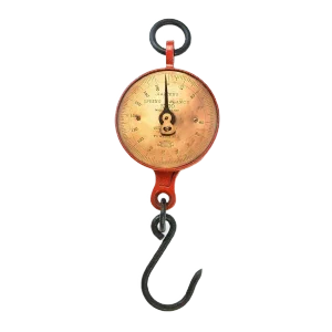 Salter's Hanging Scale