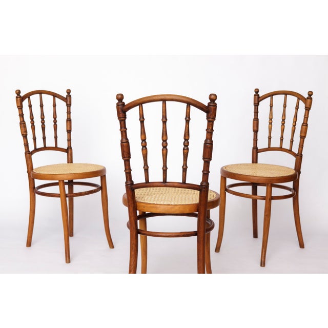 Vintage Austrian Bentwood Chairs from Jacob & Josef Kohn, 1950s, Set of 4 For Sale - Image 6 of 10