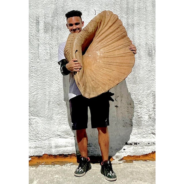 Vintage Coastal Monumental Hand Carved Gigas Clam Shell For Sale - Image 12 of 12