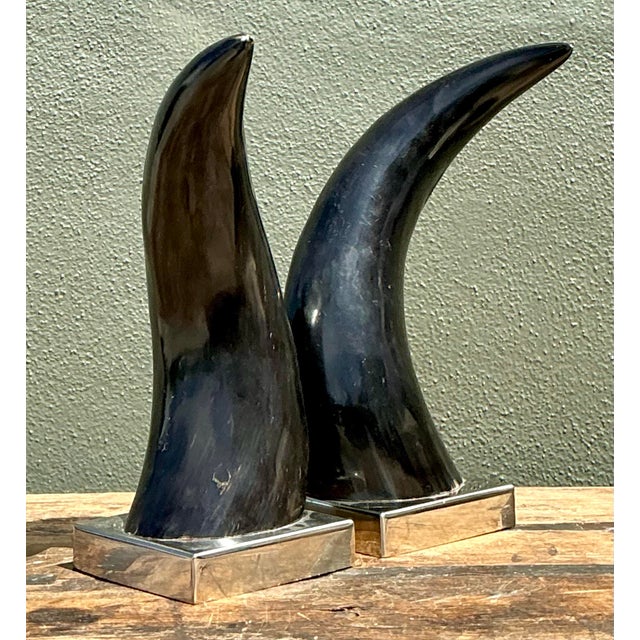 Vintage Natural Horns on Chrome Plinths - Set of 2 For Sale - Image 12 of 12