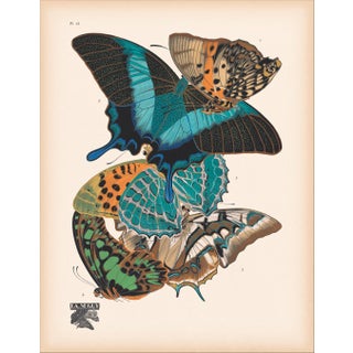 Papillons (Butterflies) Plate 13 Giclee Reproducion Art Print by Emile Allian Séguy For Sale