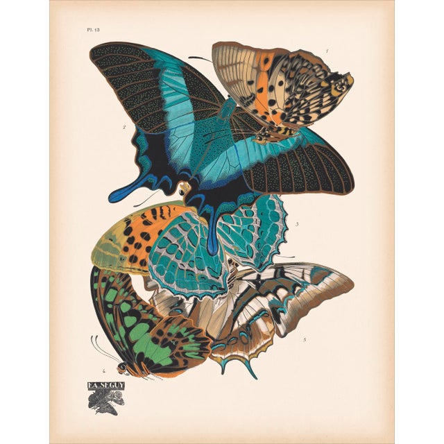 Papillons (Butterflies) Plate 13 Giclee Reproducion Art Print by Emile Allian Séguy For Sale