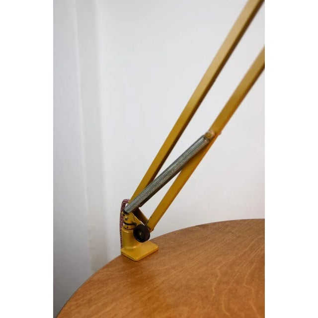 Metal Brown Adjustable Achitect Table Lamp by Tep, 1970s For Sale - Image 7 of 12