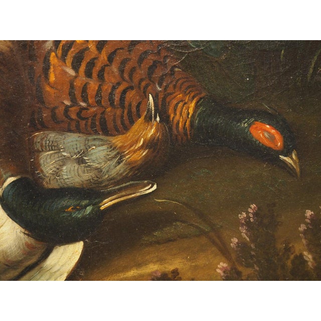 Pair of French Antique Hunt Trophy Paintings in Giltwood Frames, 19th Century For Sale - Image 14 of 18