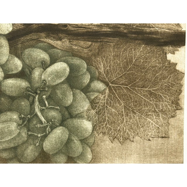 G H Rothe Grapes #Apiii Art Hand Signed Limited Edition 1983 on Paper Original For Sale In Denver - Image 6 of 8