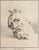 The portrait of man after Raphael is an original etching artwork realized by Thomas Holloway for Johann Caspar Lavater's...