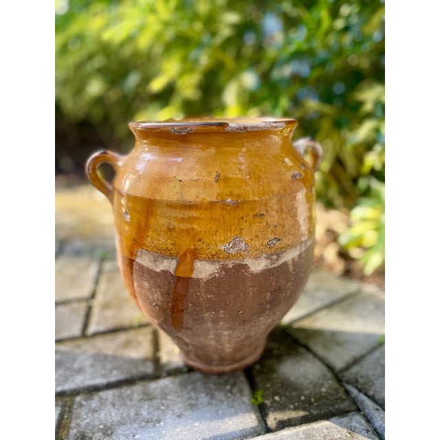 Amber Original Antique French Confit Pot With Golden Carmel Glaze For Sale - Image 8 of 15