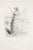 Lithograph on paper. Plate from the series "les fleurs animées". Single sheet with passepartout. "\.the flax is the flower...