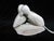 Asalakti Canadian Inuit Repulse Bay Art Sculpture of Two Birds on Caribou Antler For Sale - Image 4 of 8