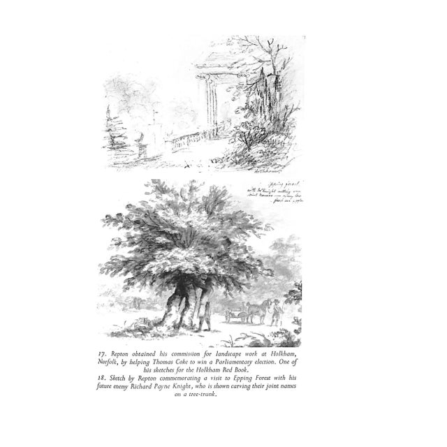 Paper "Capability Brown & Humphry Repton" 1971 Hyams, Edward For Sale - Image 7 of 11