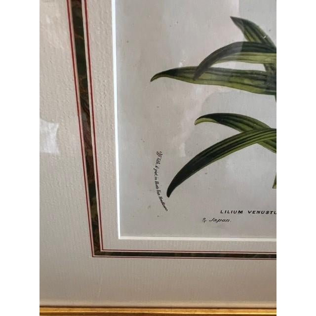 Illustration Mid 19th Century Orange Lily - Vintage Botanical Lithograph For Sale - Image 3 of 4