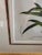 Illustration Mid 19th Century Orange Lily - Vintage Botanical Lithograph For Sale - Image 3 of 4