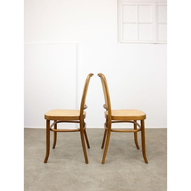 No. 811 Bentwood Chairs attributed to Michael Thonet, Set of 2 For Sale - Image 3 of 18