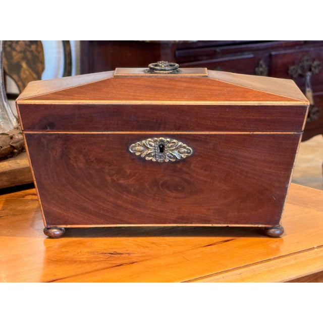 Wood 19th Century English Regency Tea Caddy For Sale - Image 7 of 8