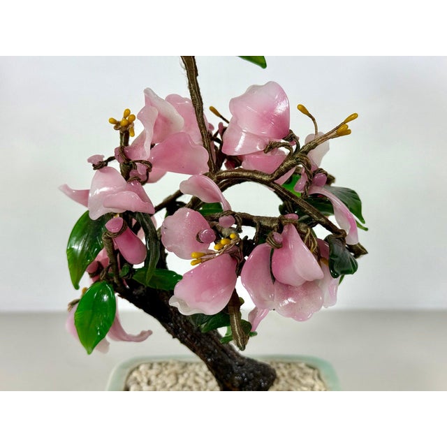 Pink Vintage Mid-Century Flowering "Jade Tree" in Footed Celadon Pot - 10" For Sale - Image 8 of 16