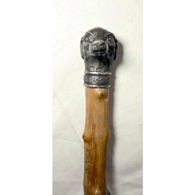Antique 19th Century Handmade 800 Sterling Silver Wood Dog Walking Stick Cane For Sale - Image 4 of 18