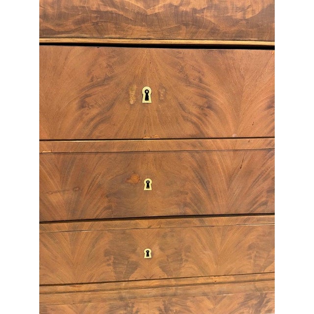 Wood 19th Century Louis Philippe Bleached Burled Walnut & Grey Marble Top Commode For Sale - Image 7 of 13