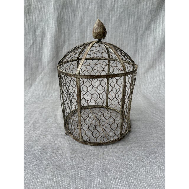 Vintage Indoor Wire Birdcage Garden Cloche For Sale - Image 17 of 17