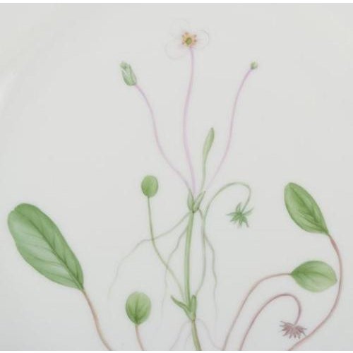 1960s Flora Danica Openwork Lunch Plate in Hand-Painted Porcelain from Royal Copenhagen, 1964 For Sale - Image 5 of 6