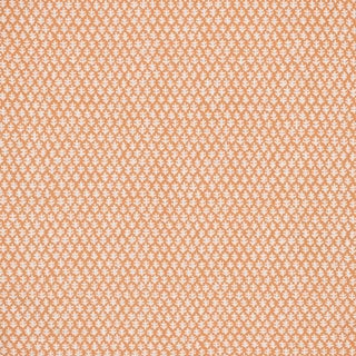 Sister Parish Burma Performance Fabric in Melon For Sale