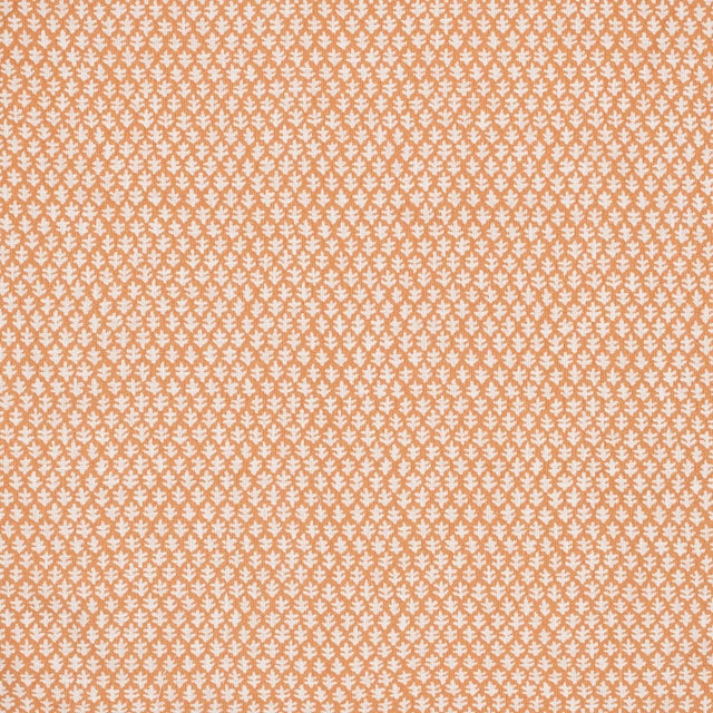 Sister Parish Burma Performance Fabric in Melon For Sale