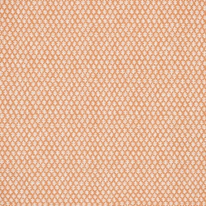 Sister Parish Burma Performance Fabric in Melon