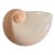 Large Nymphenburg Porcelain Pink Moon Snail Shell Bowl With White Bisque Exterior Designed by Ted Muehling For Sale