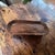 Farmhouse 19th-Century Primitive Hand-Hewn Oversized Wooden Dough Bowl Trencher, 35” For Sale - Image 3 of 9