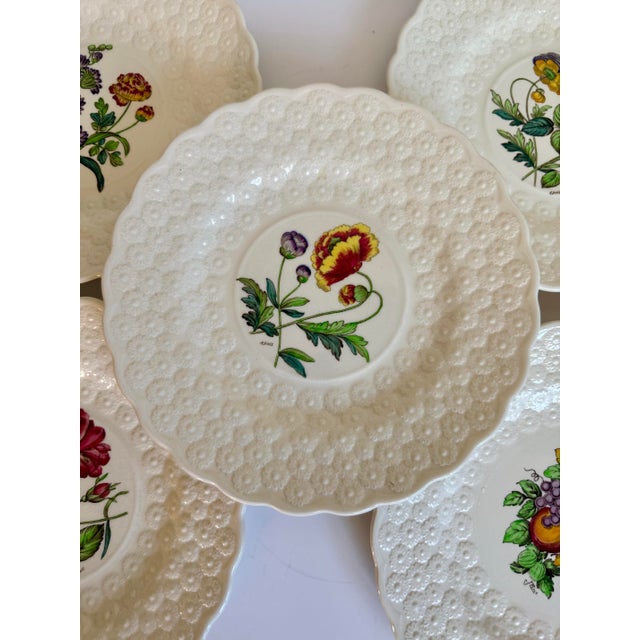 English Vintage Spode Copeland England Botanical Luncheon Plates — Set of 10 For Sale - Image 3 of 16
