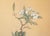 Circa 1970s Chinoiserie Style Painted Silk Screen "Peacock and Magnolia" For Sale In Dallas - Image 6 of 18