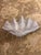 Large Grey Resin Clam Shell For Sale - Image 4 of 7