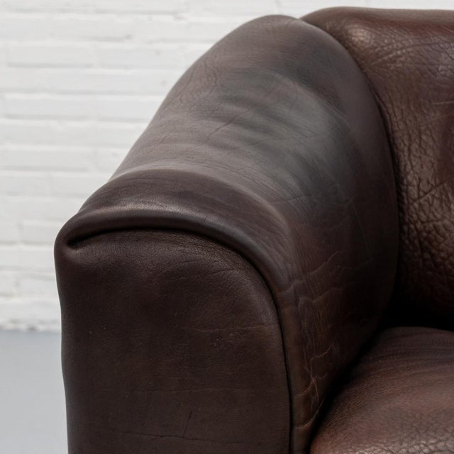 DS-47 Two-Seater Sofa from de Sede, 1970s For Sale - Image 14 of 16