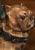 Mid-Century French Terracotta Pug Dog Sculpture With Glass Eyes For Sale In Dallas - Image 6 of 12