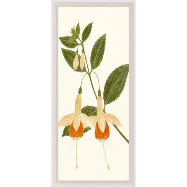 Contemporary Hubbard Flower 8268 Artwork, Framed Artwork For Sale - Image 3 of 3