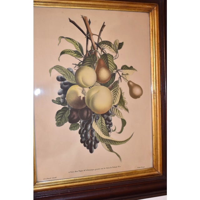 Green 19th Century Louis Charles Ruotte Engraving For Sale - Image 8 of 8