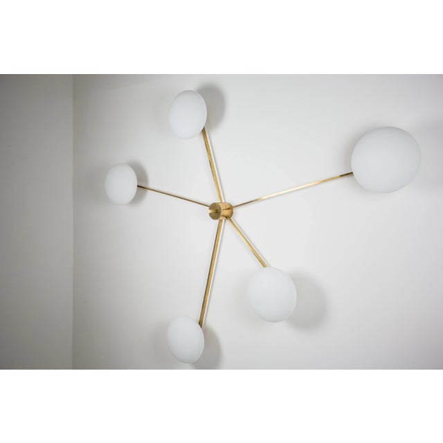 Mid-Century Modern Lighting / Design for Macha Stella Starfish For Sale - Image 3 of 10