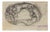 Luigi Galli, Anatomical Studies, 19th Century, Pencil on Paper For Sale