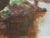 1940s Impressionism Oil Painting Arthur Spooner (1873-1962) Hammer Prices to $250,000 For Sale - Image 5 of 10