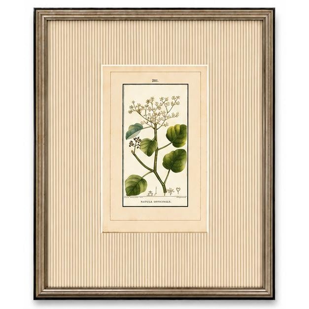 A beautifully curated set of four early 19th-century French botanical engravings—professionally framed and ready to create...