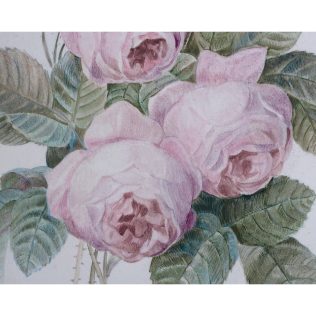 Antique Hand-Painted Porcelain Plaque with Pink Roses in Giltwood Frame, Late 20th Century For Sale - Image 3 of 6