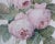 Antique Hand-Painted Porcelain Plaque with Pink Roses in Giltwood Frame, Late 20th Century For Sale - Image 3 of 6
