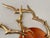 Bijan Style Birds in Flight 70's Brutalist Brass and Copper Sun Wall Sculpture For Sale - Image 4 of 11