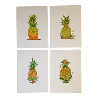 Pineapple Fruit Modern Botanical Paintings by Cynthia Geyer For Sale