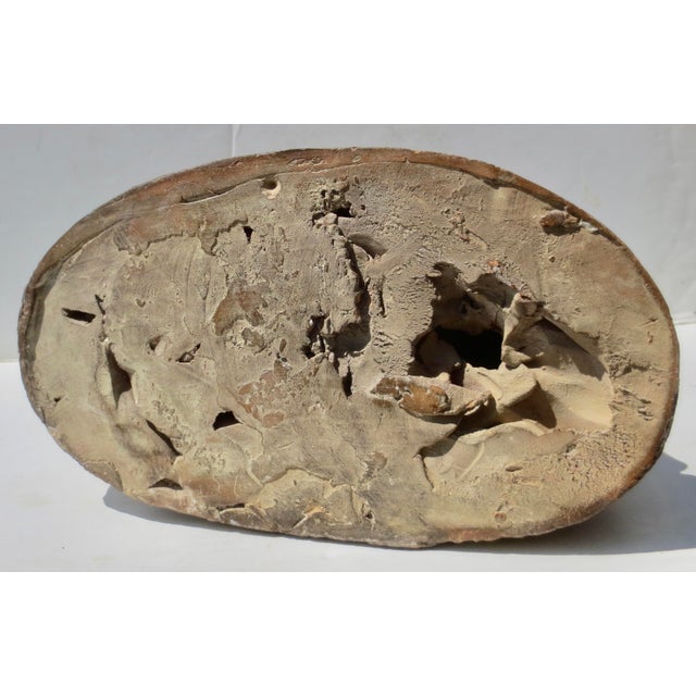 Terra Cotta Allogory Fernand Cian Paris Circa 1930s For Sale - Image 11 of 17